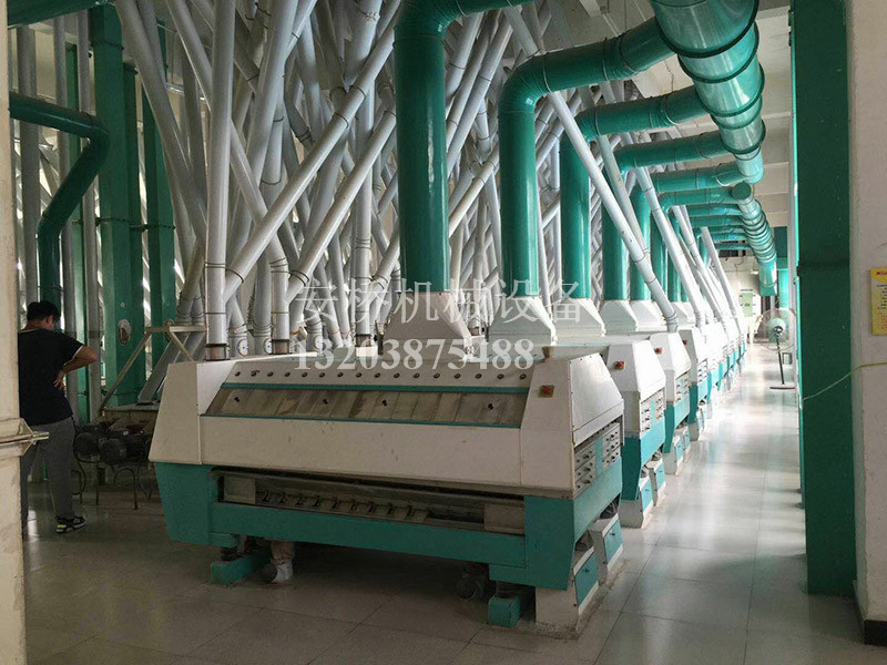 日产500吨小麦制粉成套设备案例展示