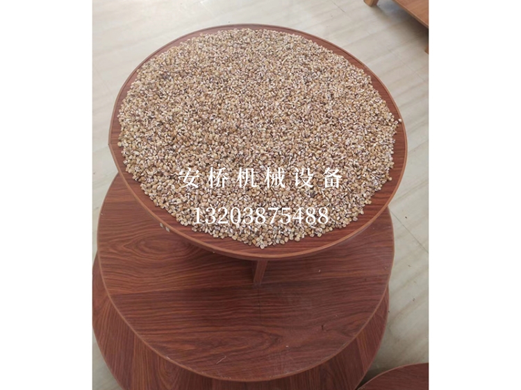 熟青稞样品